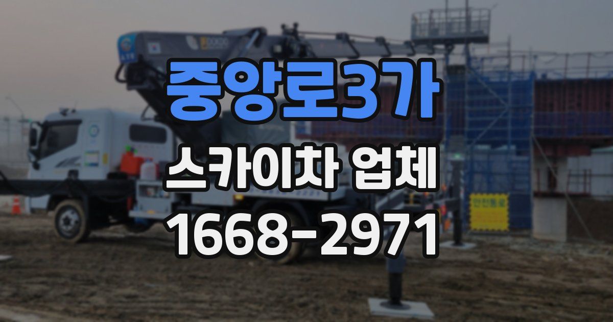 중앙로3가 스카이차 업체