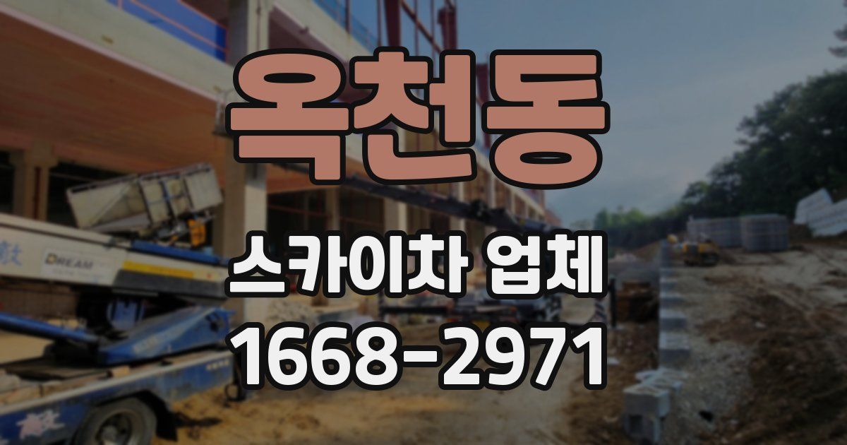 옥천동 스카이차 업체