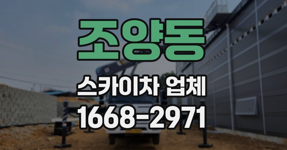 조양동 스카이차 업체