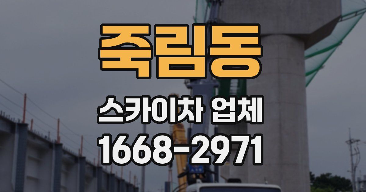 죽림동 스카이차 업체