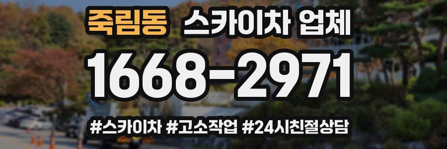 죽림동 스카이차 업체