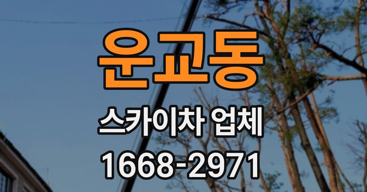 운교동 스카이차 업체