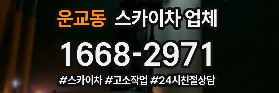 운교동 스카이차 업체
