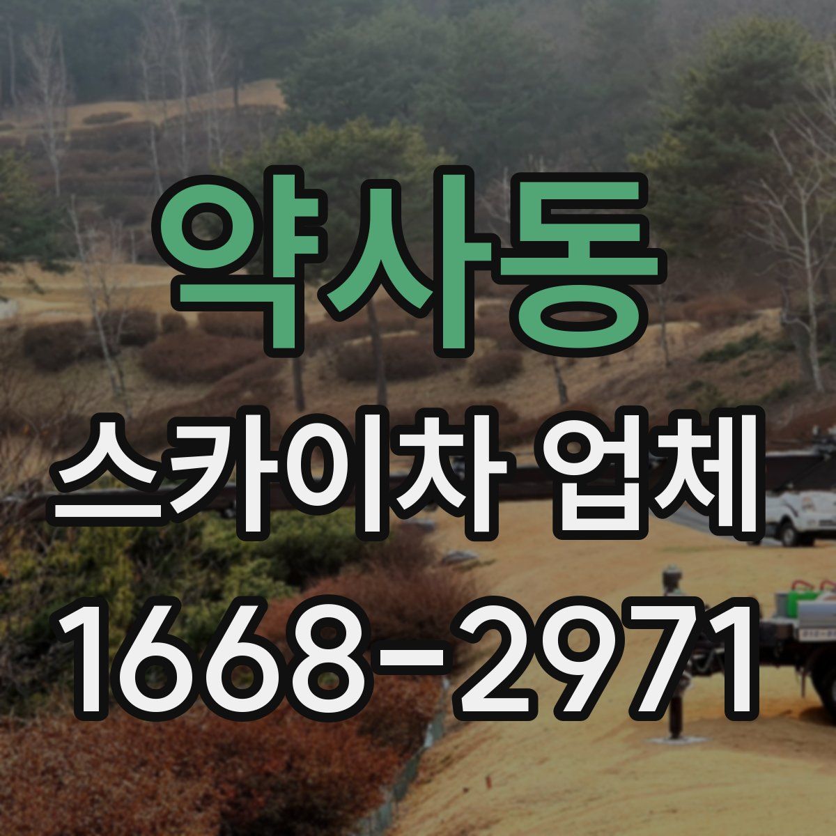 약사동 스카이차 업체