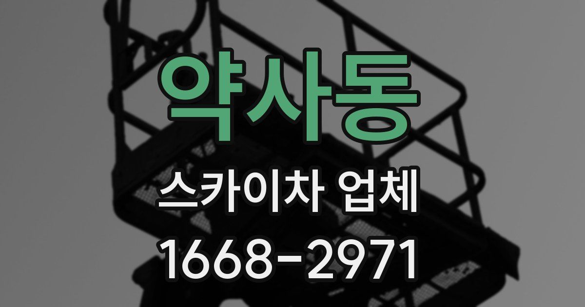 약사동 스카이차 업체