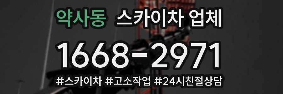 약사동 스카이차 업체