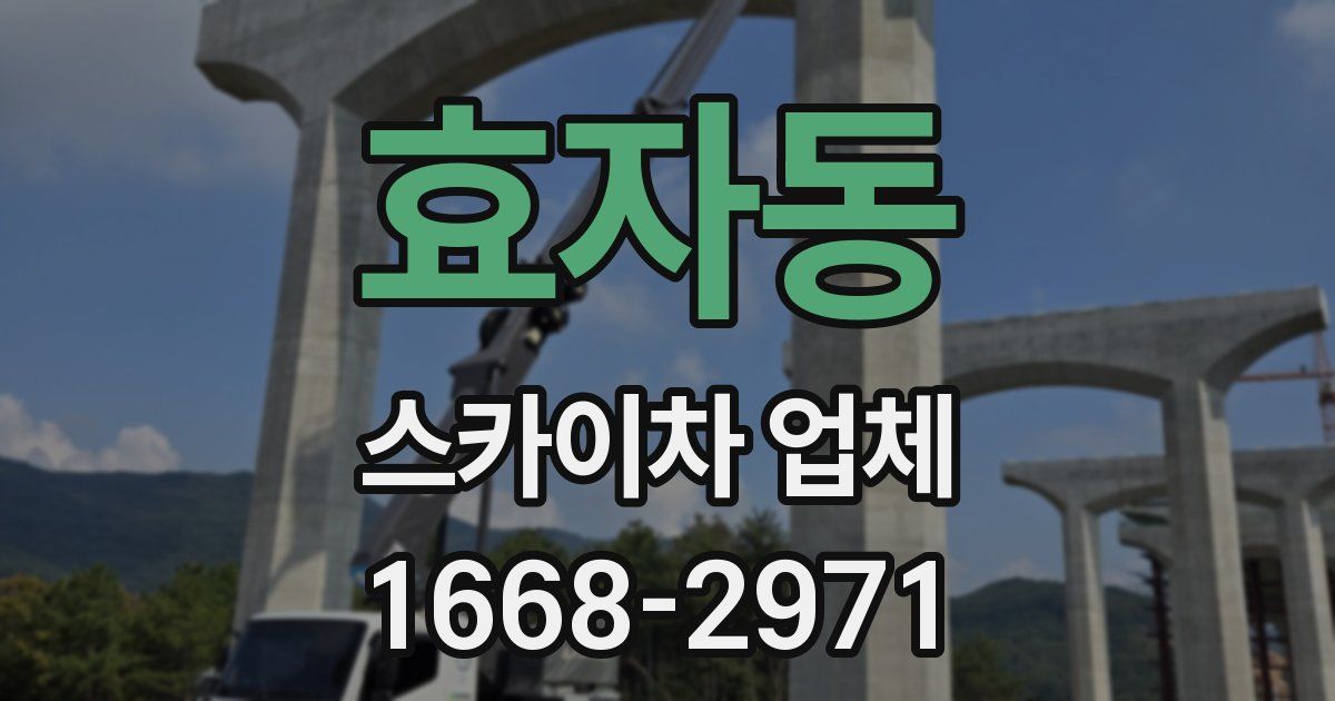 효자동 스카이차 업체