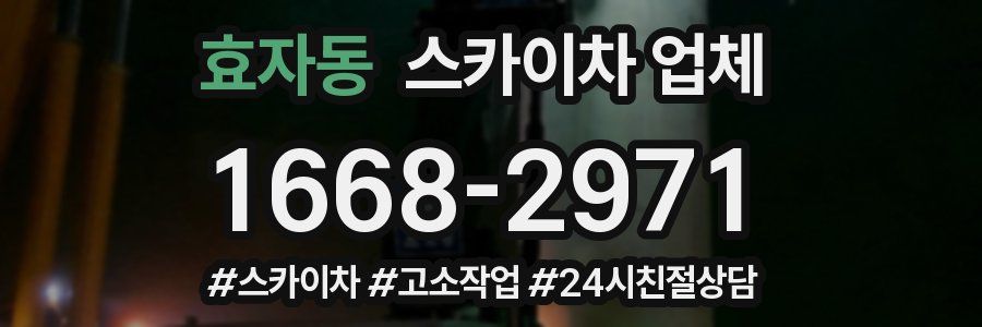효자동 스카이차 업체