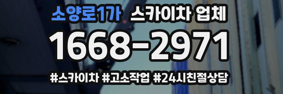 소양로1가 스카이차 업체
