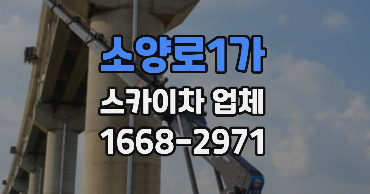 소양로1가 스카이차 업체