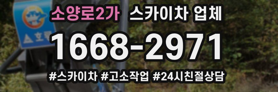 소양로2가 스카이차 업체