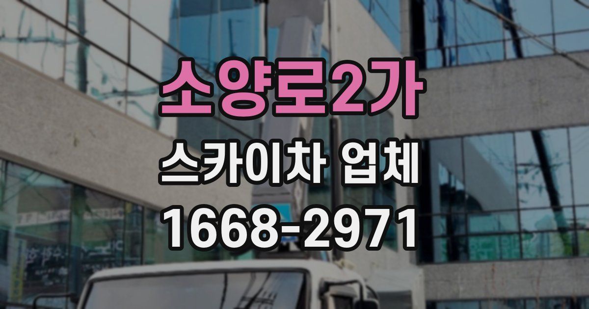 소양로2가 스카이차 업체