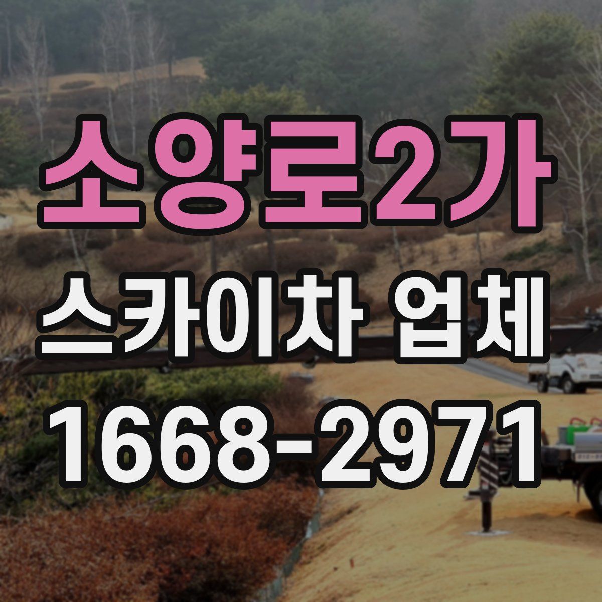 소양로2가 스카이차 업체