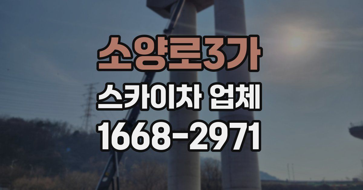 소양로3가 스카이차 업체