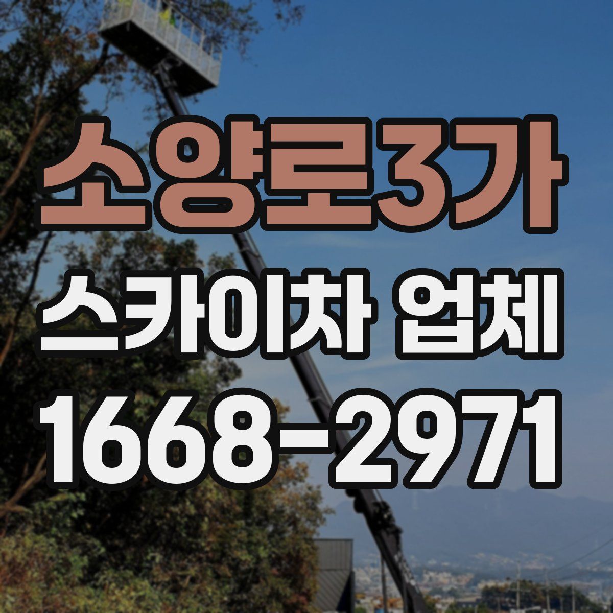 소양로3가 스카이차 업체