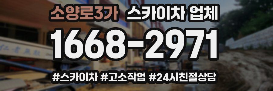 소양로3가 스카이차 업체
