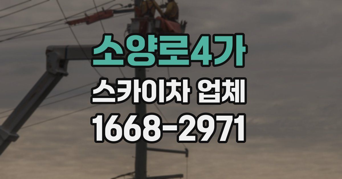 소양로4가 스카이차 업체