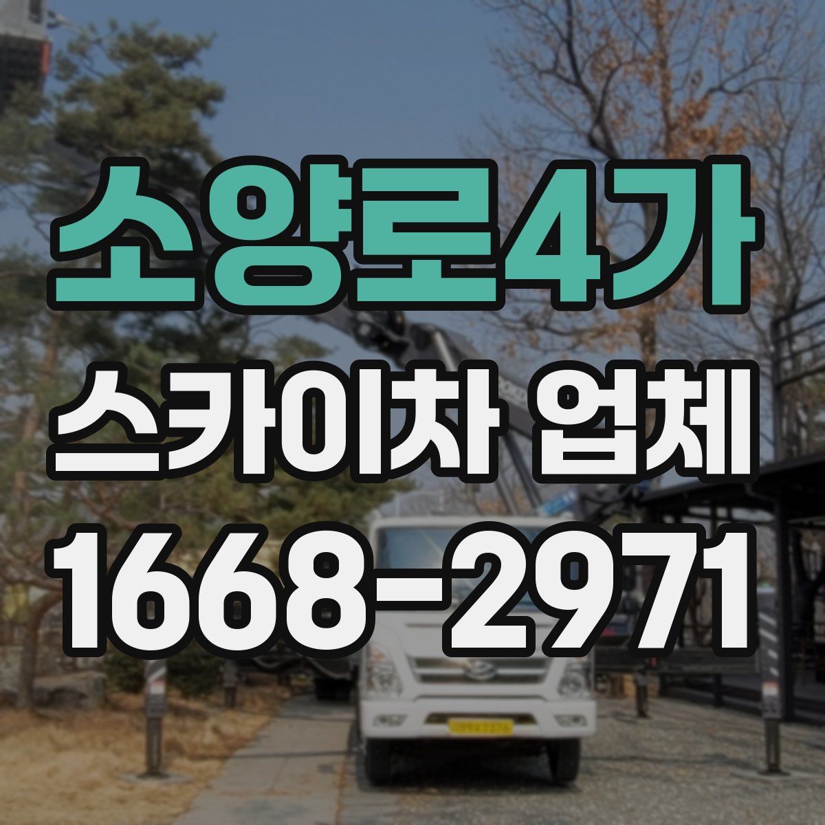 소양로4가 스카이차 업체