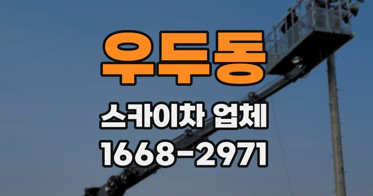 우두동 스카이차 업체