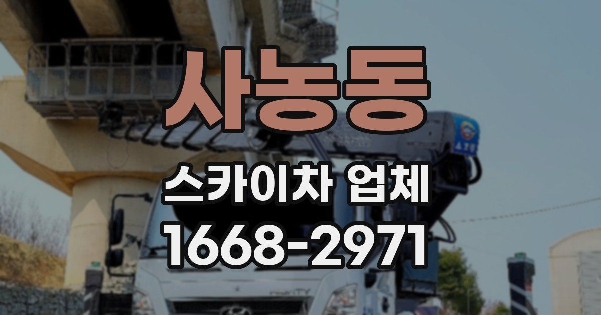 사농동 스카이차 업체