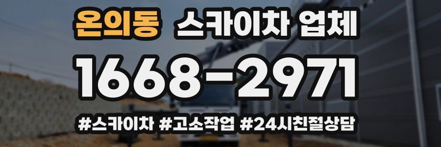 온의동 스카이차 업체