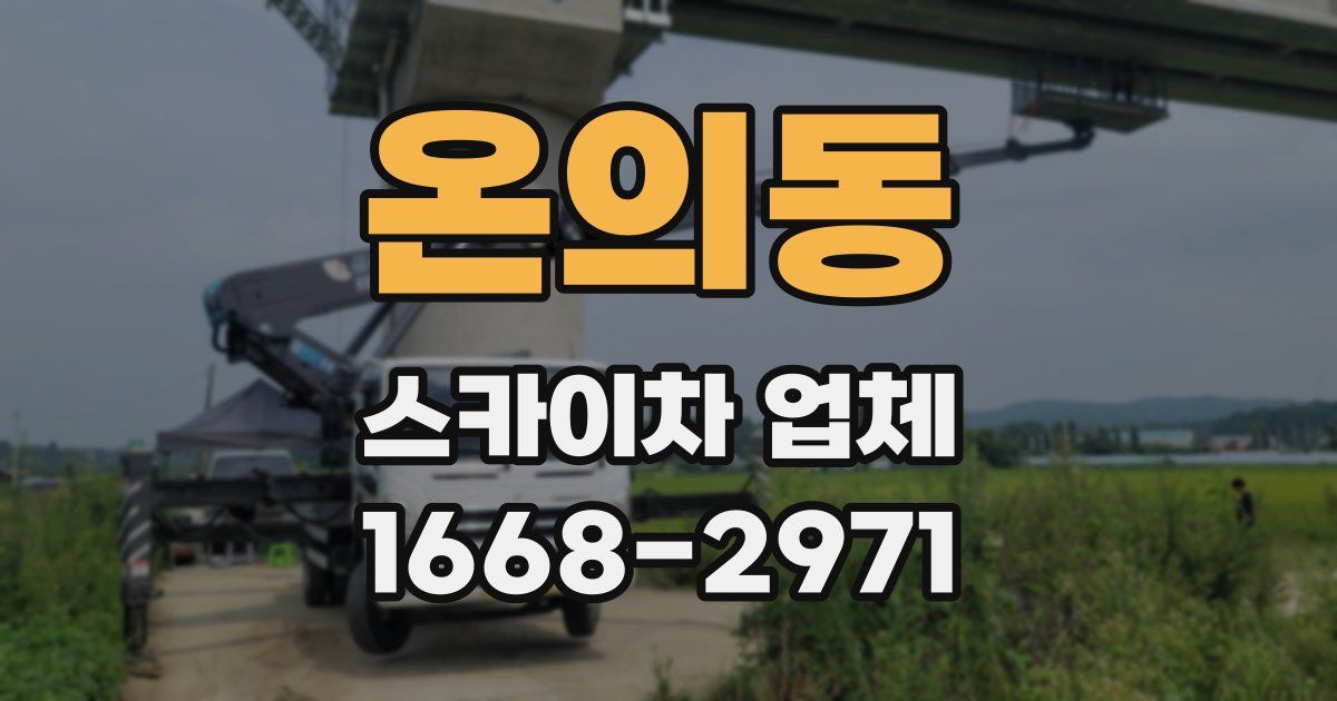 온의동 스카이차 업체