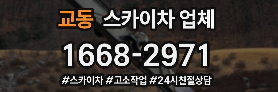 교동 스카이차 업체