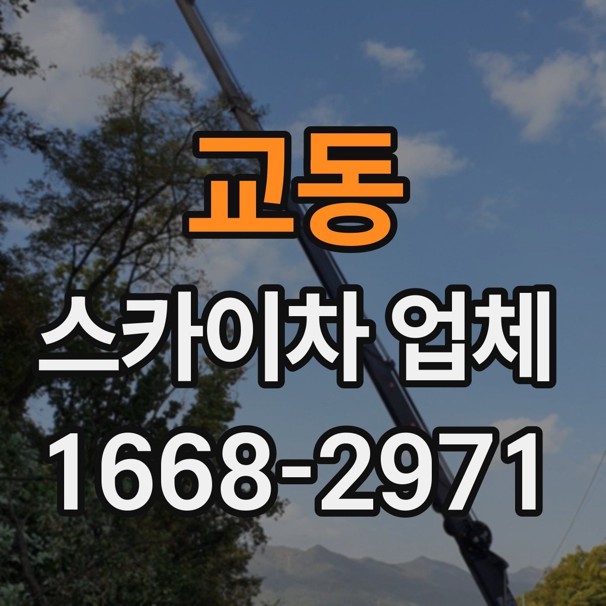 교동 스카이차 업체