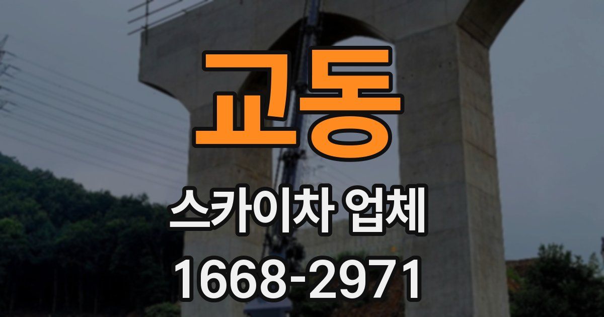 교동 스카이차 업체