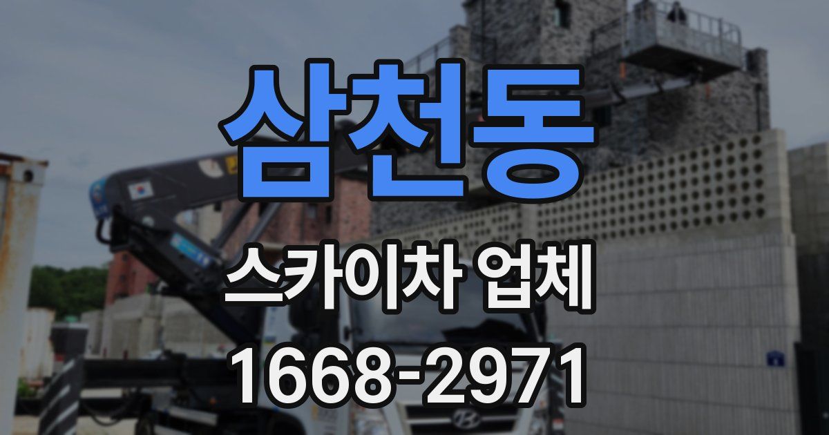 삼천동 스카이차 업체