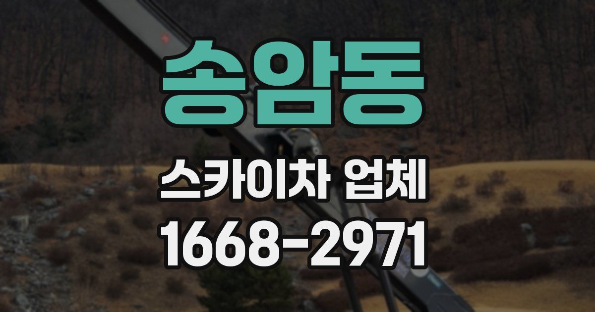 송암동 스카이차 업체
