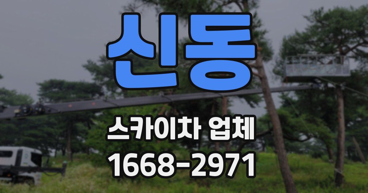 신동 스카이차 업체