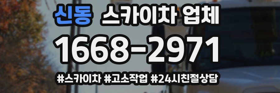 신동 스카이차 업체