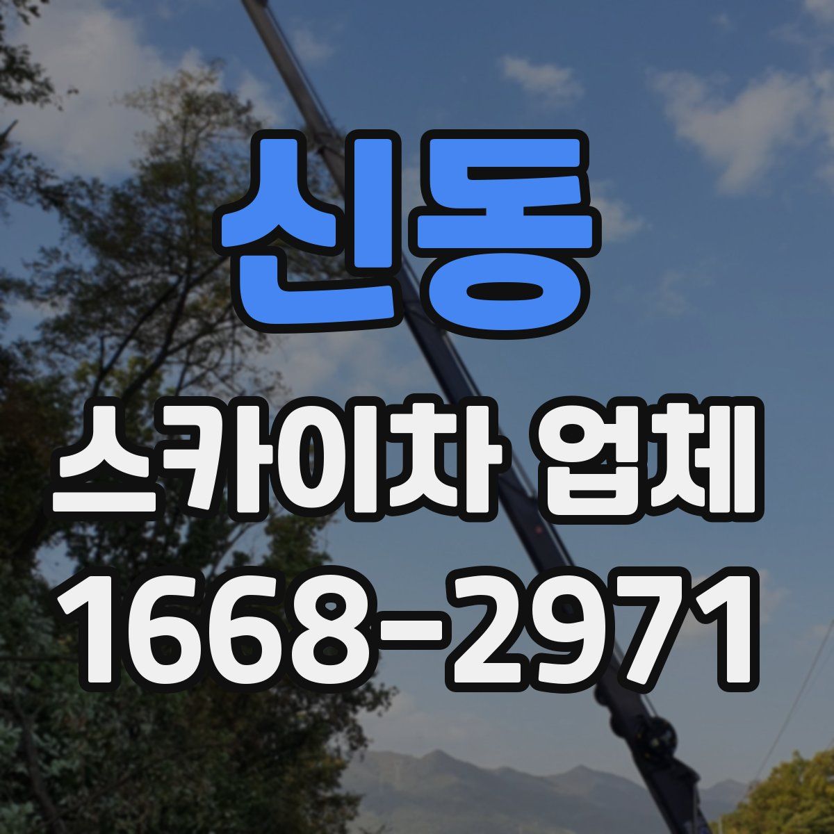 신동 스카이차 업체