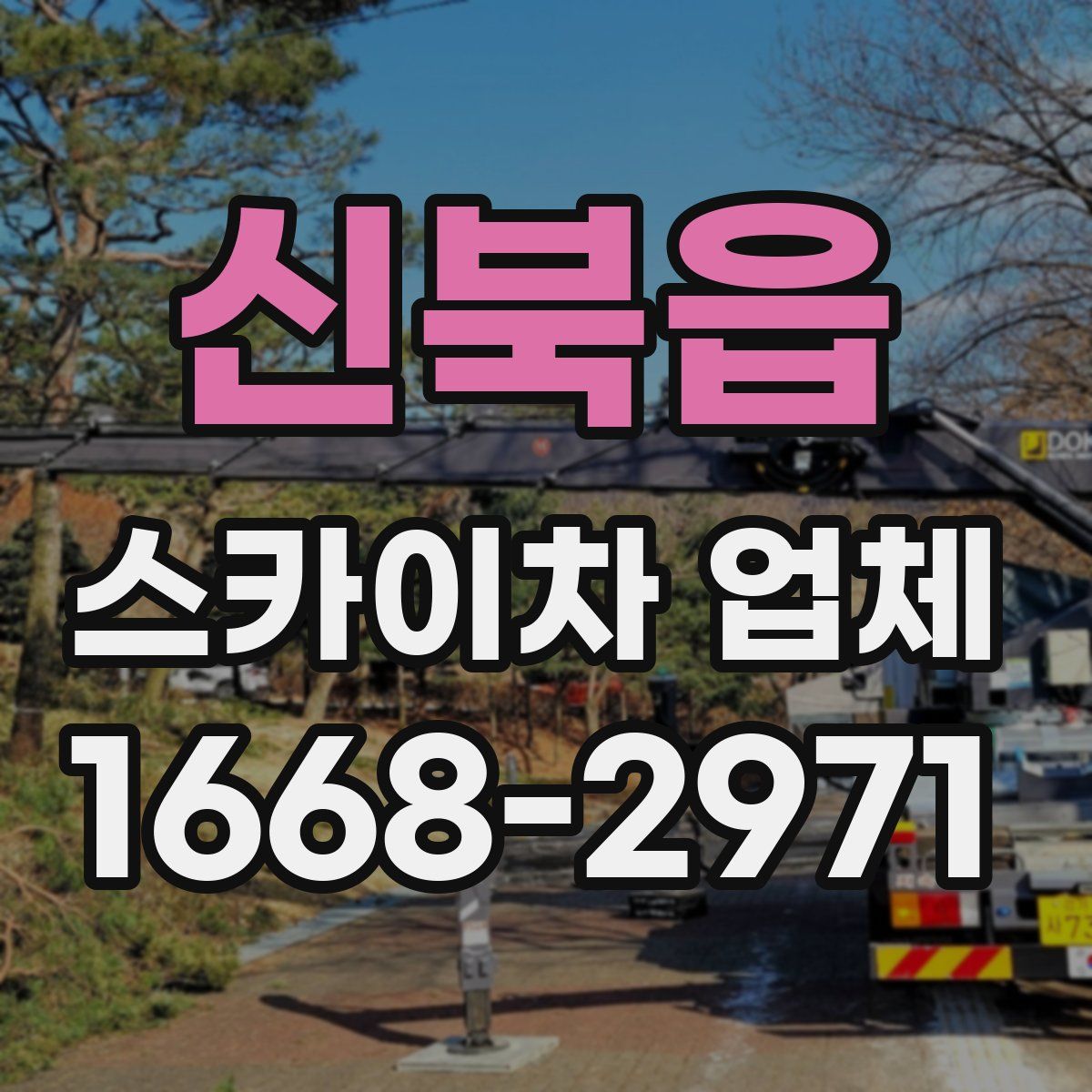 신북읍 스카이차 업체