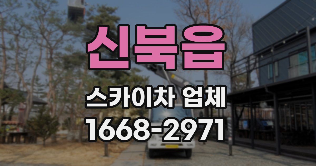 신북읍 스카이차 업체