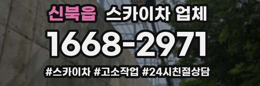신북읍 스카이차 업체