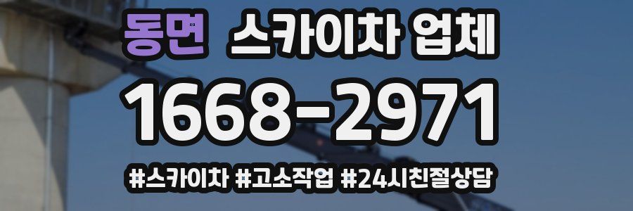 동면 스카이차 업체