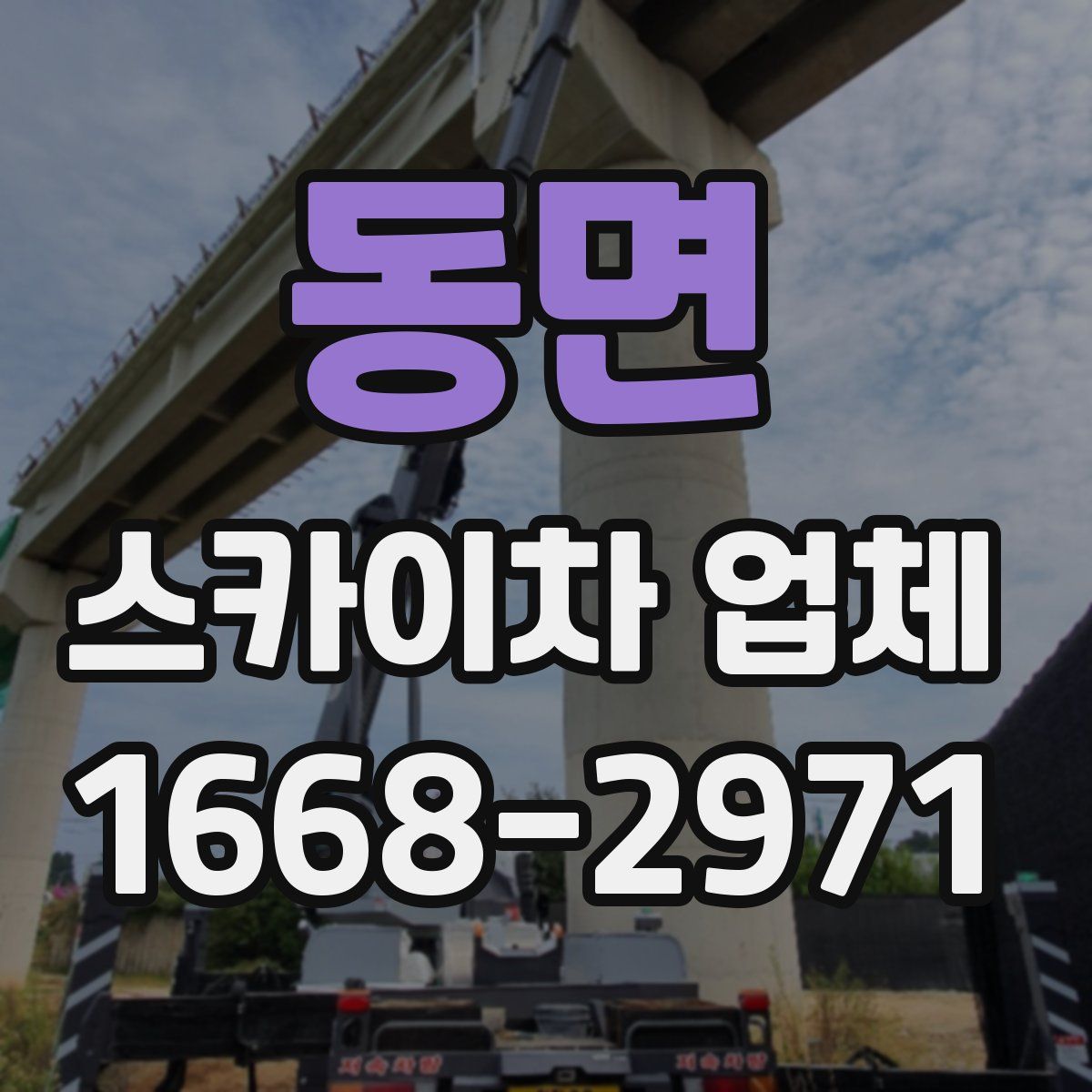 동면 스카이차 업체
