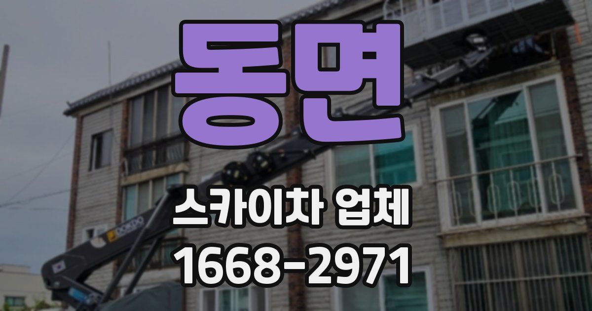 동면 스카이차 업체