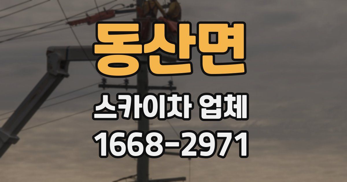 동산면 스카이차 업체
