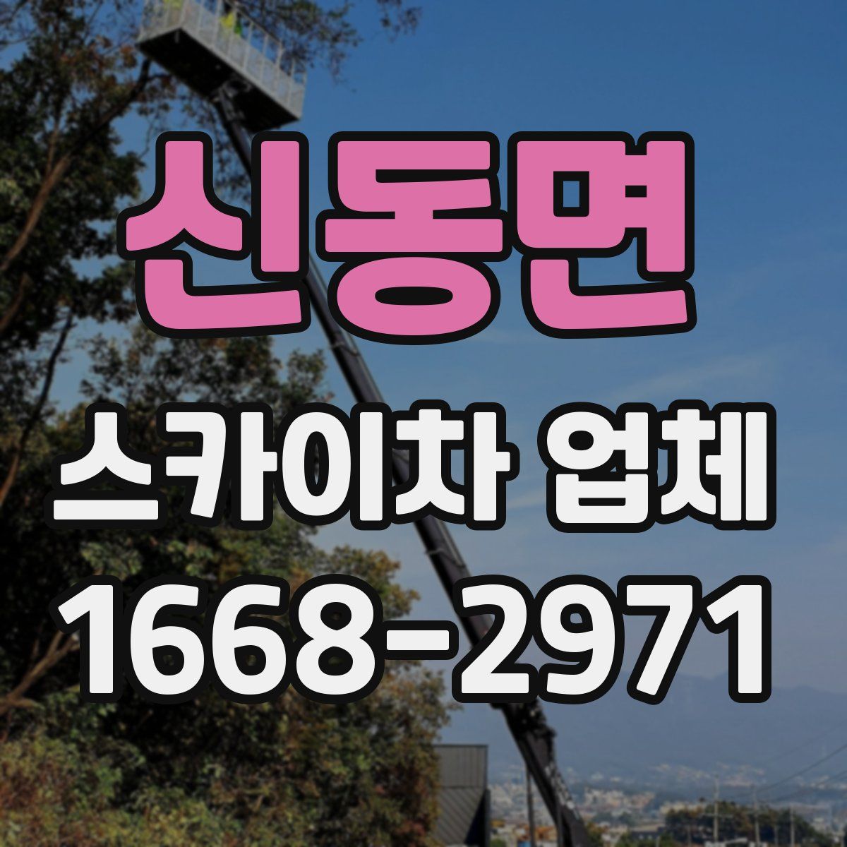 신동면 스카이차 업체