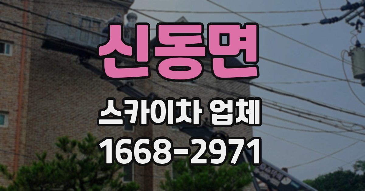 신동면 스카이차 업체