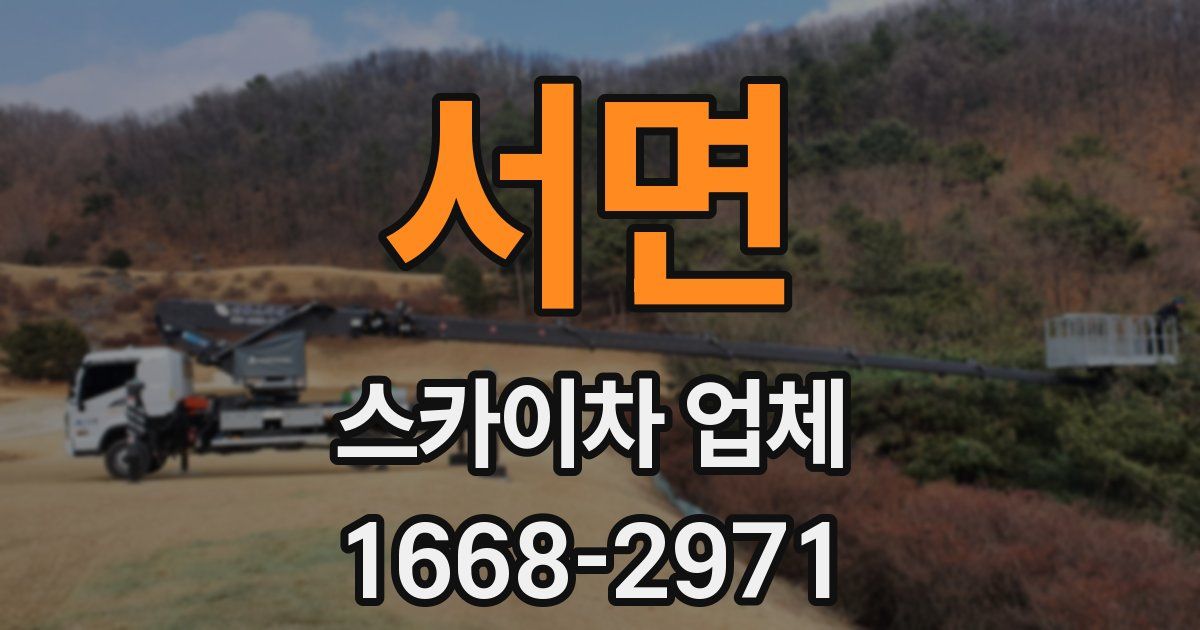 서면 스카이차 업체