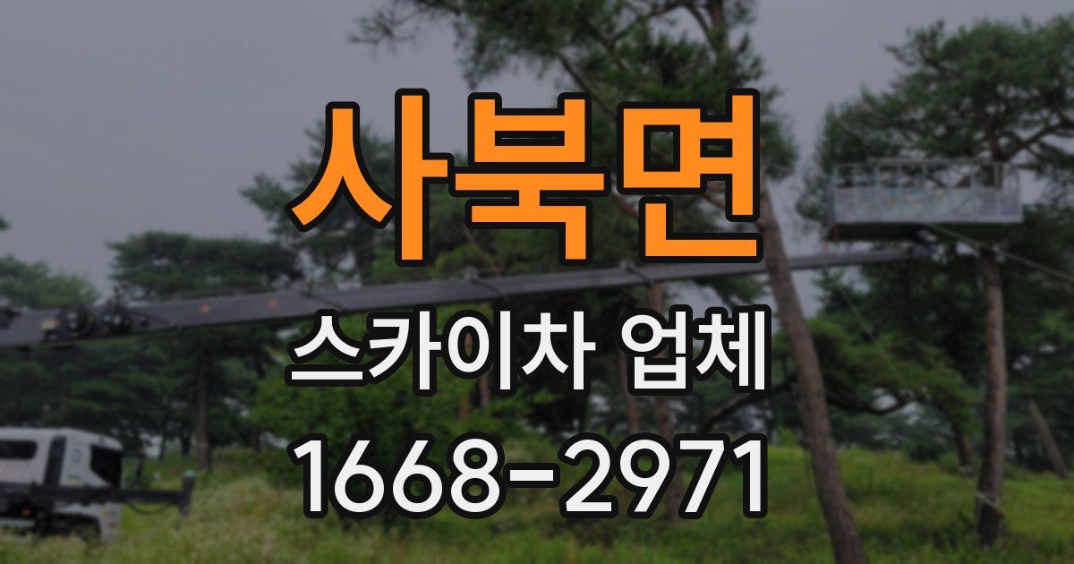 사북면 스카이차 업체