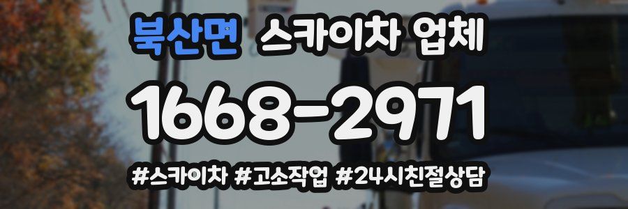북산면 스카이차 업체