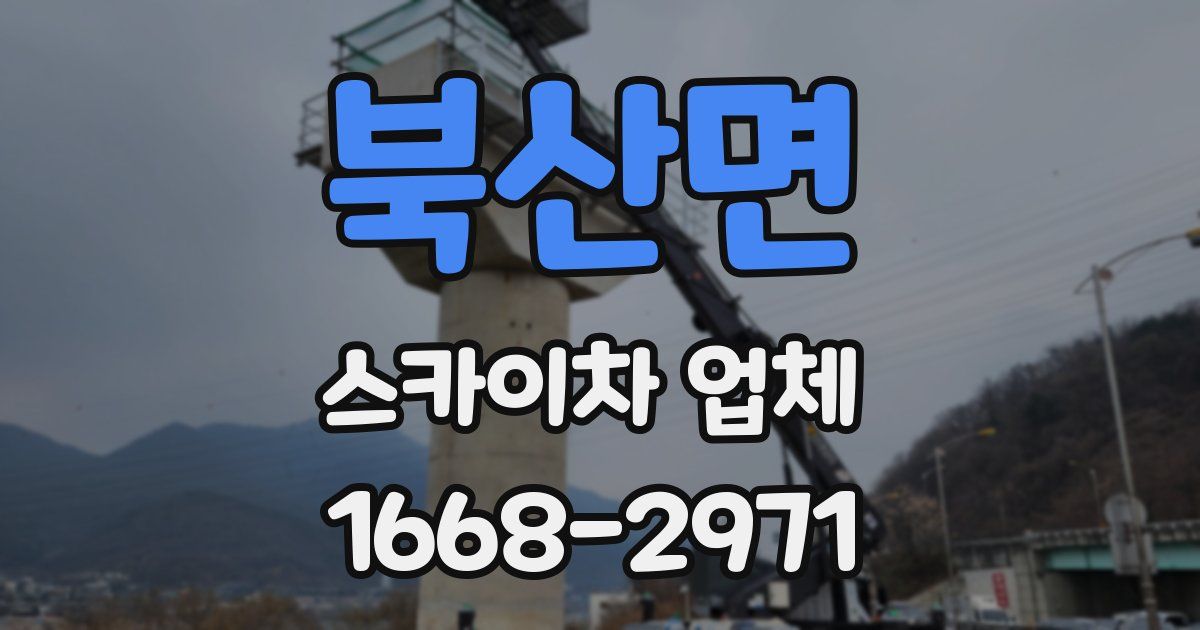 북산면 스카이차 업체