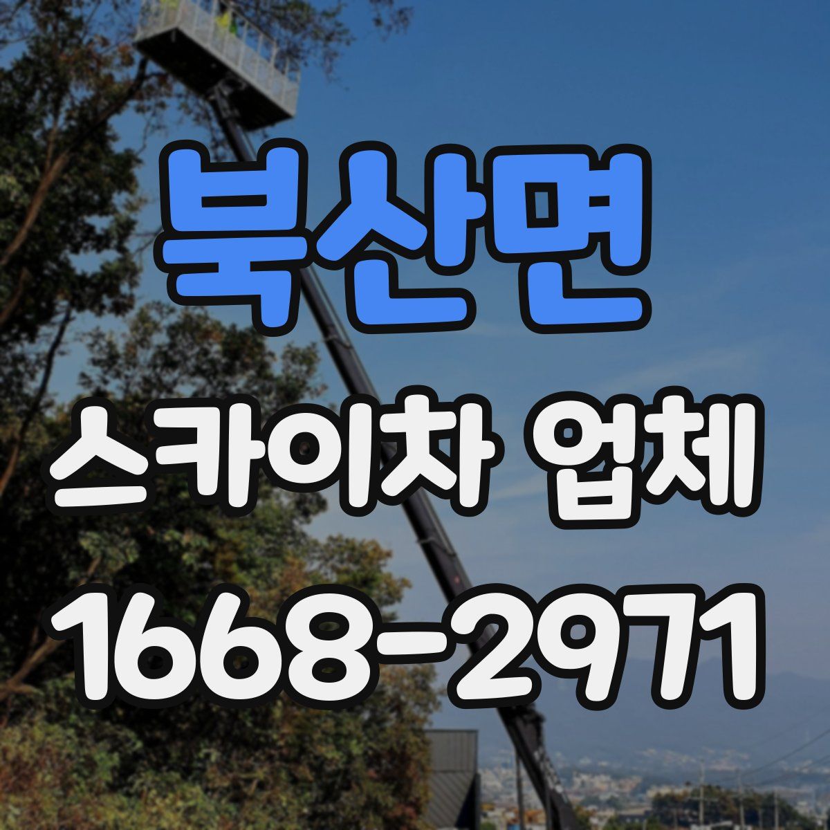북산면 스카이차 업체