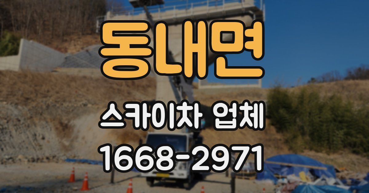동내면 스카이차 업체