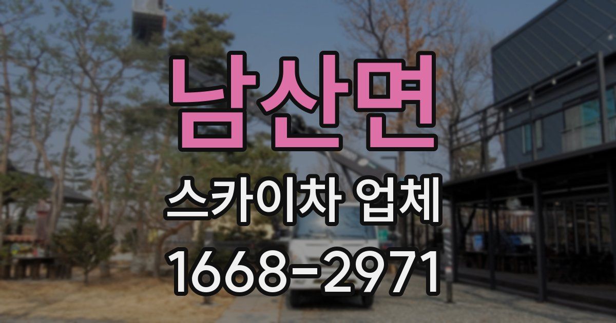 남산면 스카이차 업체